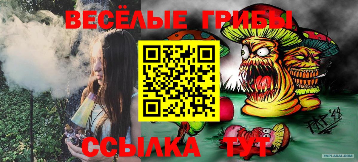 Серпухов  наркошоп  Вход с VPN  Галлюциногенные грибы Psilocybe 