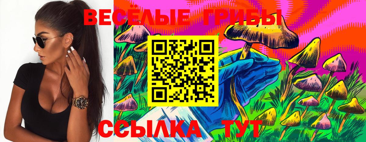 Псилоцибиновые грибы GOLDEN TEACHER Серпухов